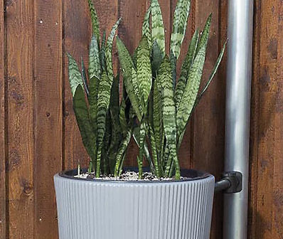 Blomlådor & Planteringslådor